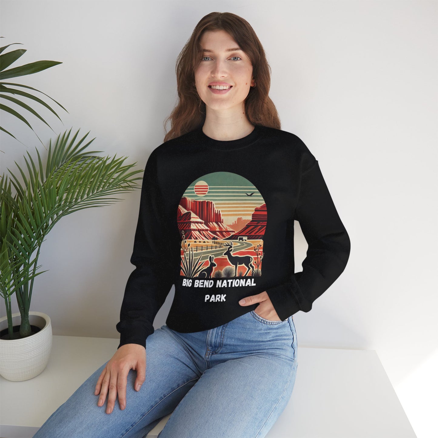 Big Bend National Park Unisex Sweatshirt